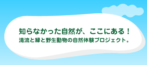 知らなかった自然が、ここにある